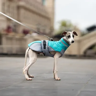 warm dog jacket for pets