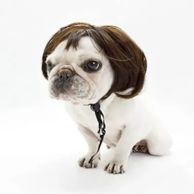 Pet Wigs Pet Wigs
