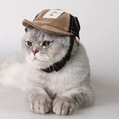 Pet Baseball Cap – Dog Sun Hat for Travel, Breathable and Lightweight Pet Baseball Cap