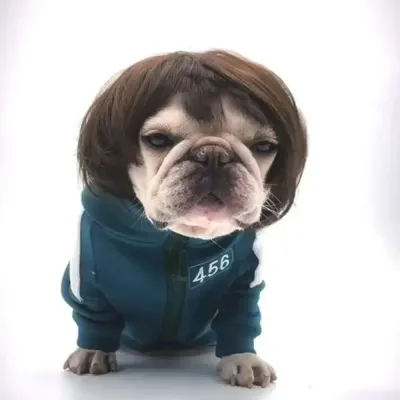 Dog Cat Cosplay Wig Dog Cat Cosplay Wig