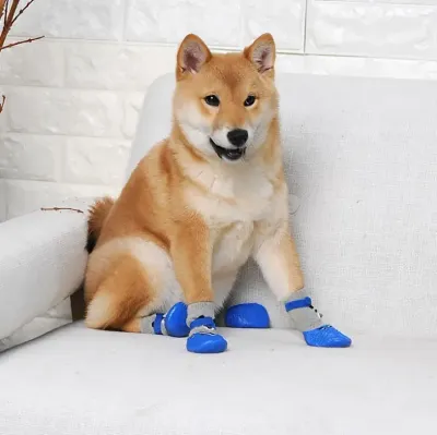 Stylish anti-scratch dog socks