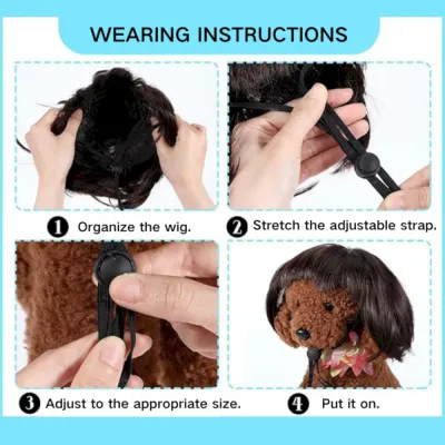 Pet Wigs Wearing Instructions Pet Wigs Wearing Instructions
