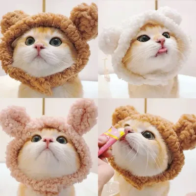Wholesale Cat Hat