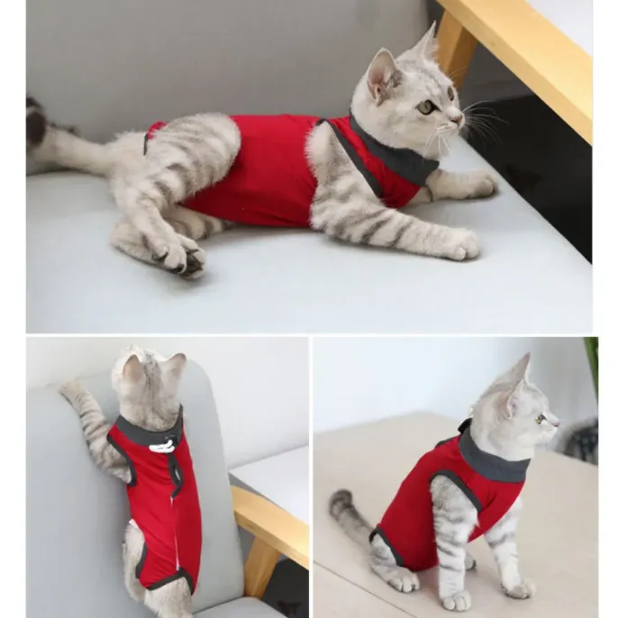 Convenient for Pet Owners: Easy to put on and remove, this suit saves time for pet owners and ensures that cats are well protected throughout their recovery. 