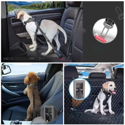 Dog Car Leash Dog Car Leash