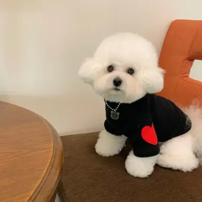 Dog fleece sweatshirt hot selling dog fleece sweatshirt