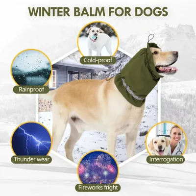 Comfortable dog head protection