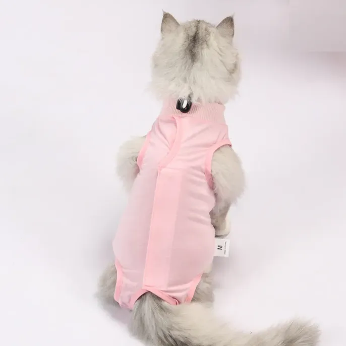 Ideal for Veterinary Practices and Pet Stores: This surgical recovery suit is an excellent item for pet stores, veterinary offices, or clinics offering post-surgery care products. 