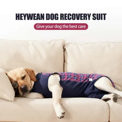 Dog recovery shirt Dog recovery shirt wholesale