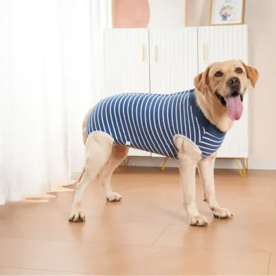 Neuter dog recovery wear Neuter dog recovery wear comfortable