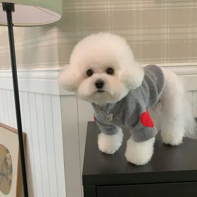 Heart design dog sweater Heart design dog sweater wholesale