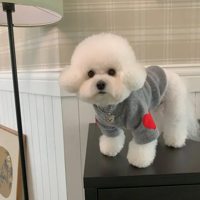 Heart design dog sweater wholesale
