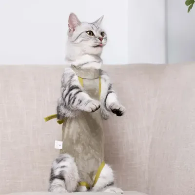 Post-surgery cat shirt wholesale