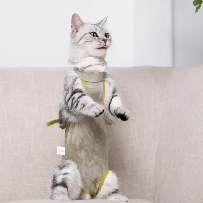 Post-surgery cat shirt Post-surgery cat shirt wholesale