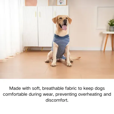 Spay recovery suit Spay recovery suit wholesale