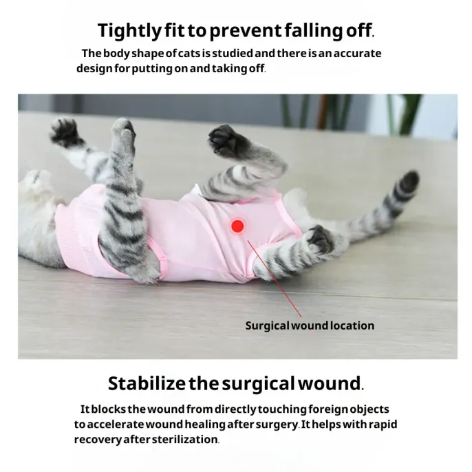 Prevents Licking for Faster Healing: The primary function of this recovery suit is to prevent the cat from licking the surgery site, which is crucial for faster and more effective healing.