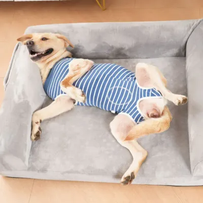 Post-surgery dog clothing high quality post-surgery dog clothing