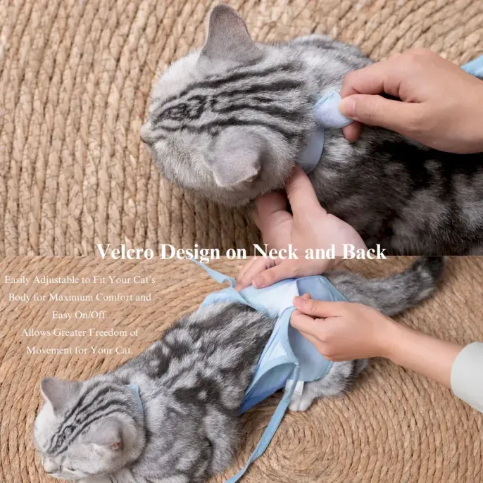 Neuter recovery cat shirt Neuter recovery cat shirt wholesale