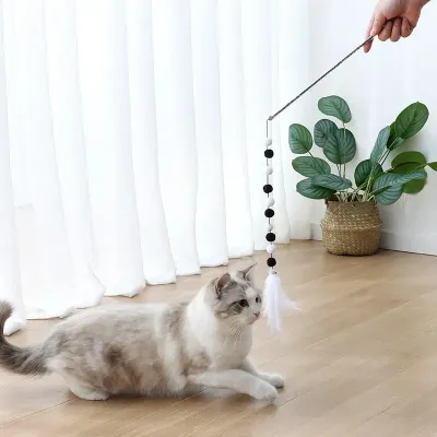Pet Hot Quality Teaser Toy