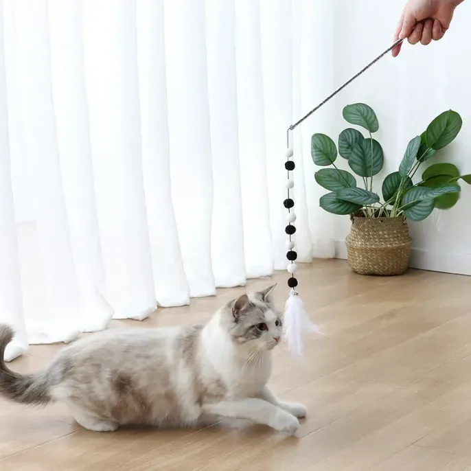 Pet Hot Quality Teaser Toy Pet Hot Quality Teaser Toy