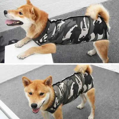 Soft spay recovery suit for dogs