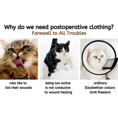 Bulk Cat Recovery Suits