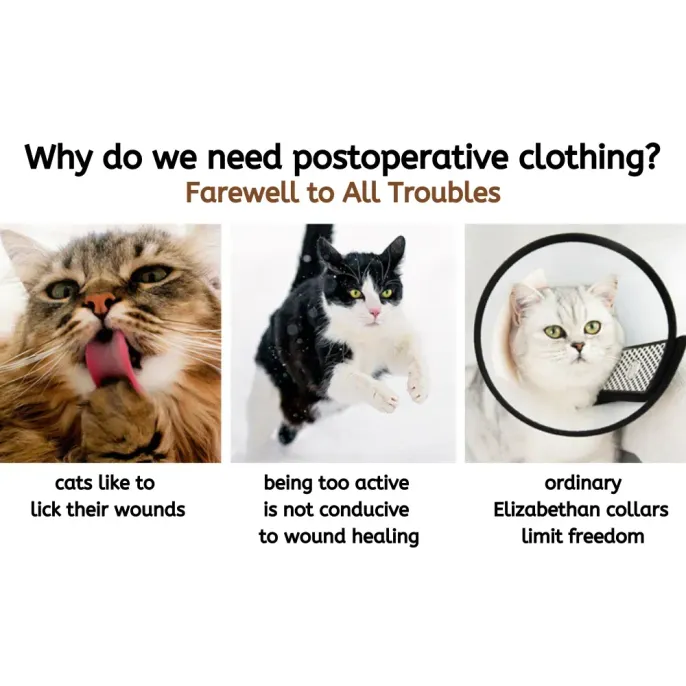 Bulk Cat Recovery Suits Bulk Cat Recovery Suits