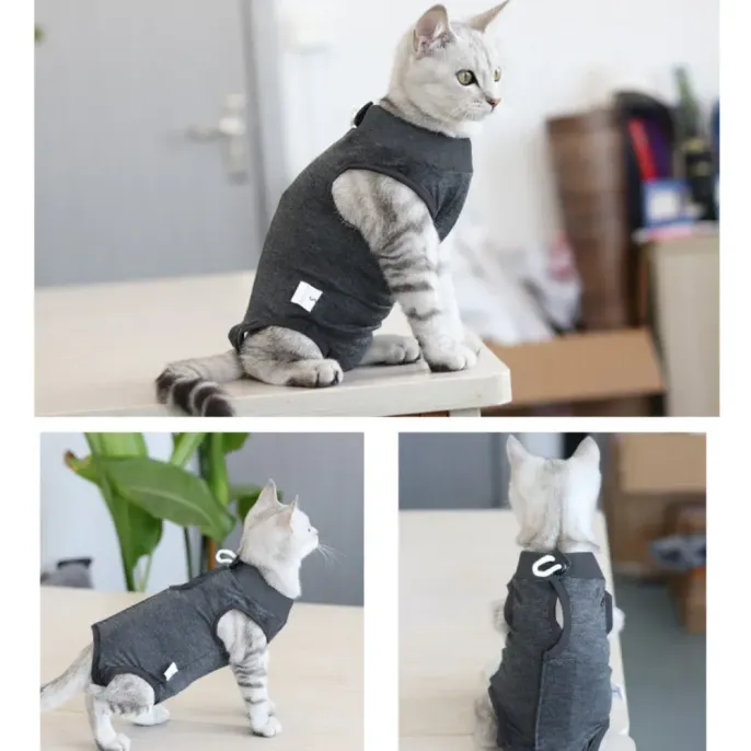 Promotes Faster Recovery and Healing: By stabilizing the wound and preventing licking, this recovery suit accelerates healing. 