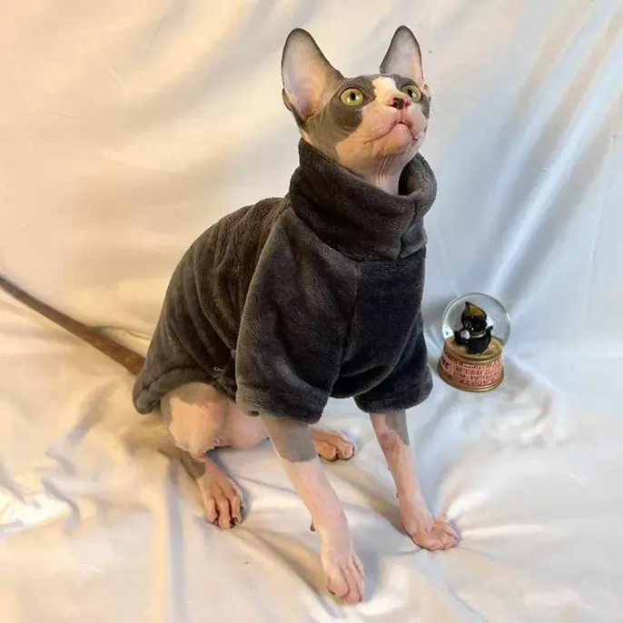 This fleece clothing is a must-have for pet stores catering to hairless cat breeds. Its combination of warmth, comfort, and eco-friendly materials makes it an attractive wholesale product for pet retailers seeking high-quality apparel for hairless pets.