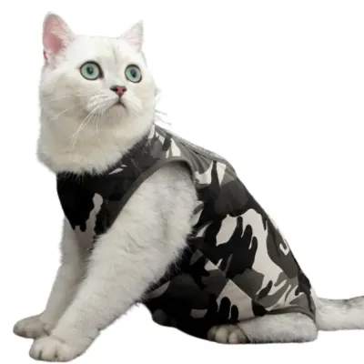 Cat Recovery Suits
