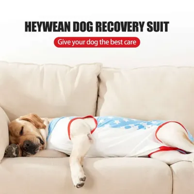 Anti-licking dog shirt Anti-licking dog shirt wholesale