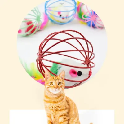 toy ball for cats toy ball for cats