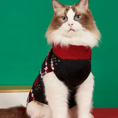 christmas sweater dogs bulk