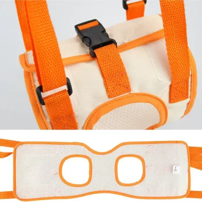 dog support harness