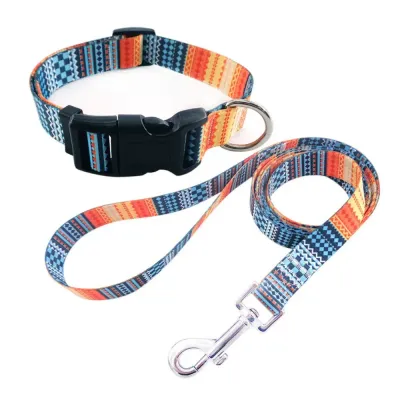 dog leash and collar