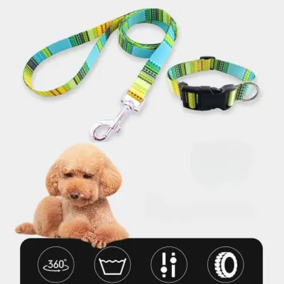 dog collar and leash