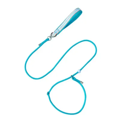 Slip Lead Dog Leash