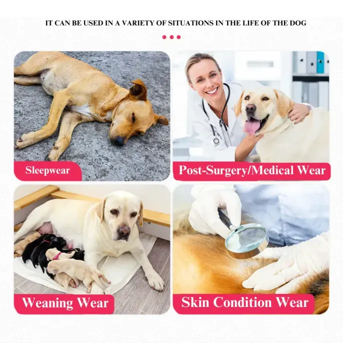 Dog Recovery Suits New Dog Recovery Suits New