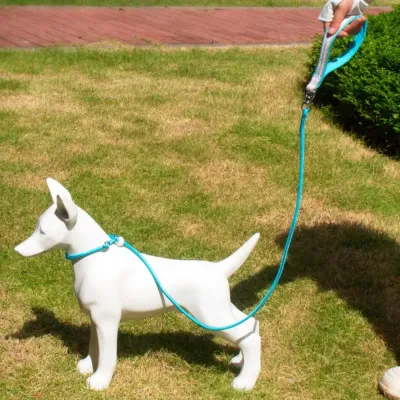 Slip Lead Dog Leashes