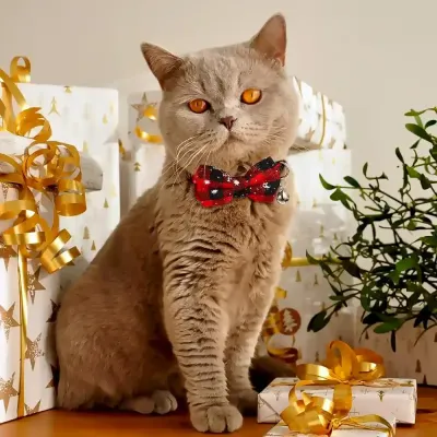 Christmas Cat Collar Provider