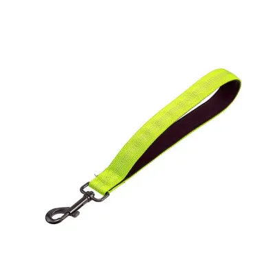 Pet Short Dog Leash