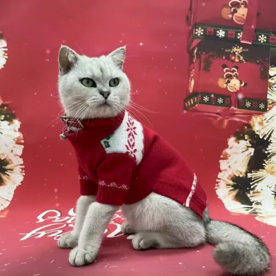Pet sweater Pet sweater for cats