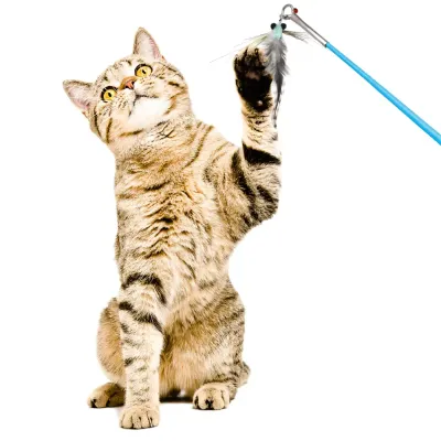 Plankton Wand Attachments Feather Cat Toys