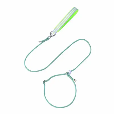 Dog Slip Lead Dog Leash