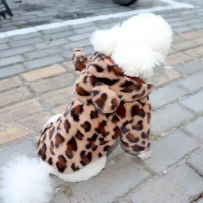 Winter Dog Dress Supplier Winter Dog Dress Supplier