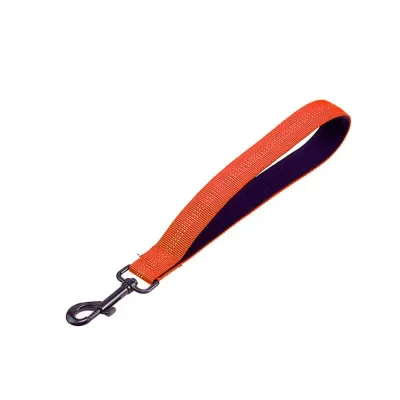 Cat Short Dog Leash