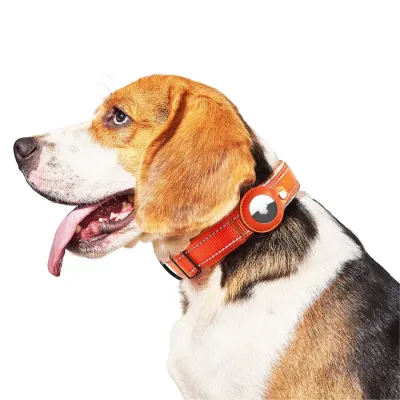 Durable and Comfortable Pet Collar: Designed with a durable safety buckle and elastic adjustable design, this collar offers both security and comfort for medium to large pets.