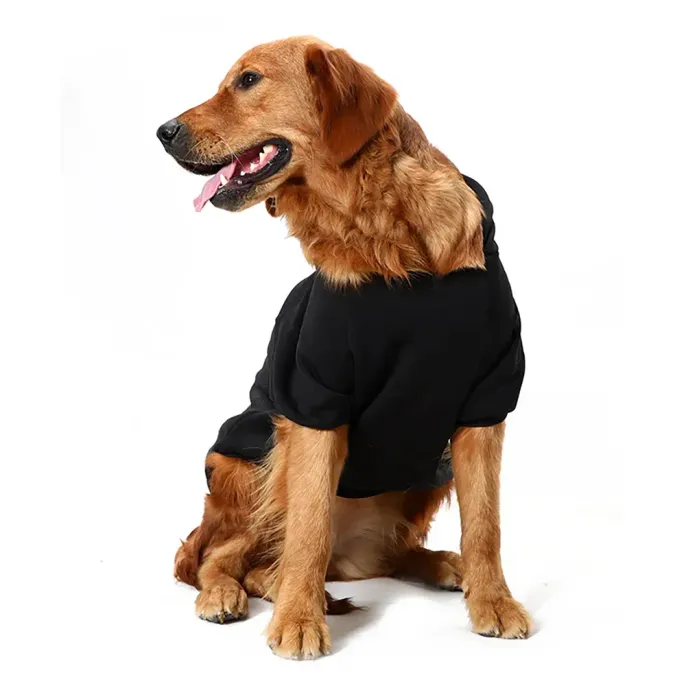 Perfect for Spring, Autumn, and Winter: The hoodie is designed with the cooler months in mind, offering the perfect amount of warmth without causing overheating, ideal for spring, autumn, and winter outings.