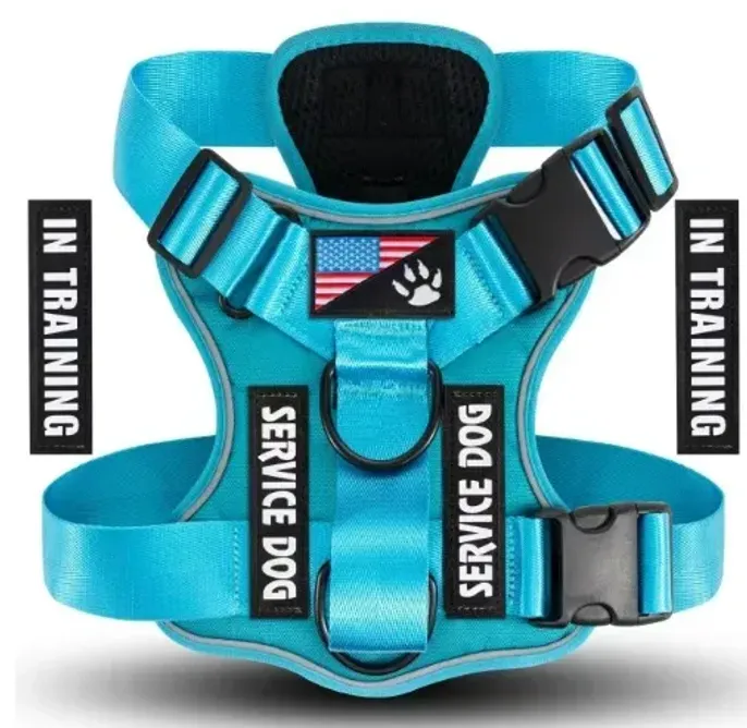 blue dog tactical harness blue dog tactical harness