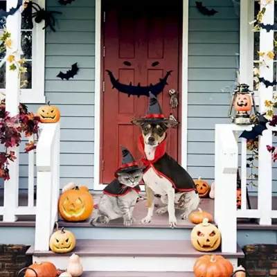 Pet Halloween Costumes Provider Pet Halloween Costumes Provider
